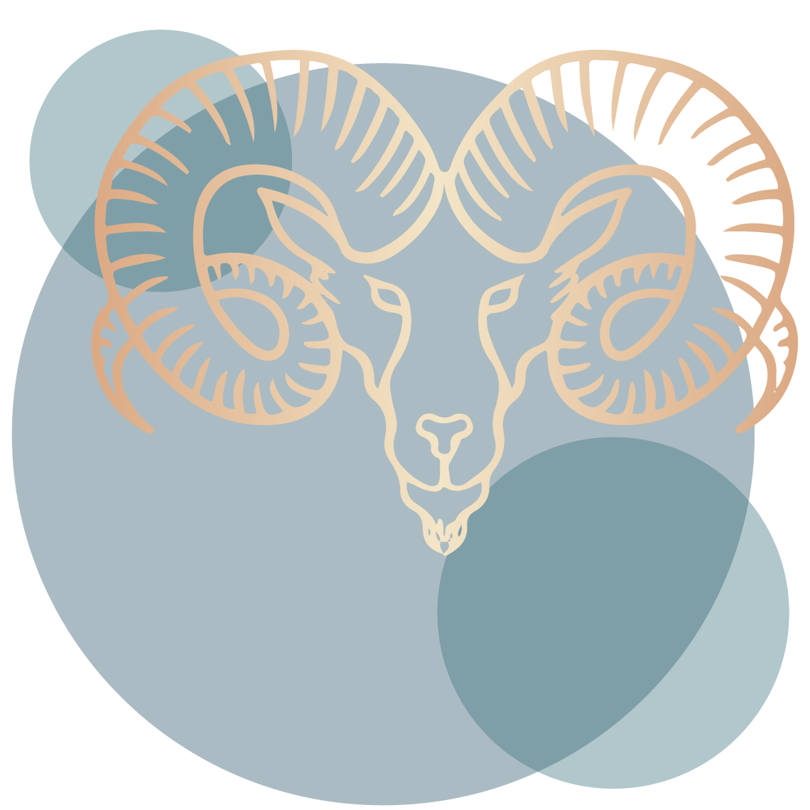 Aries Zodiac Sign