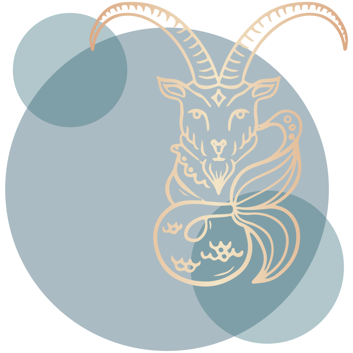 Capricorn Zodiac Sign