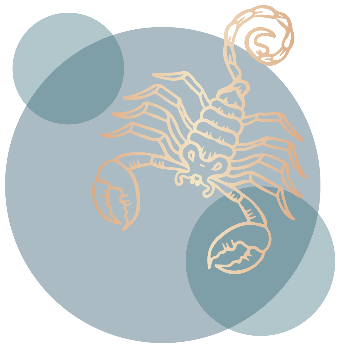 Scorpio Zodiac Sign